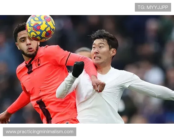 诺维奇黄绿军团本赛季状态回暖，主场表现稳健值得关注