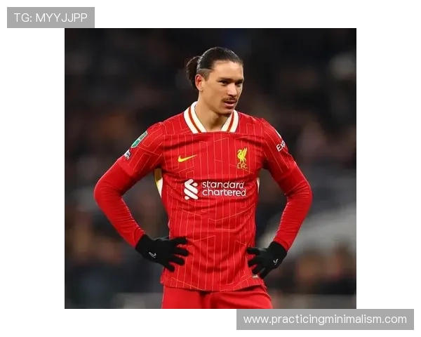 努涅斯禁区能力